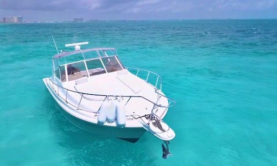 Luxury 42ft Sea Ray Motor Yacht Charter for up to 8 people in Cancun