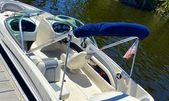 Sea Ray Bowrider Sport with Delivery Service in Tampa Bay!
