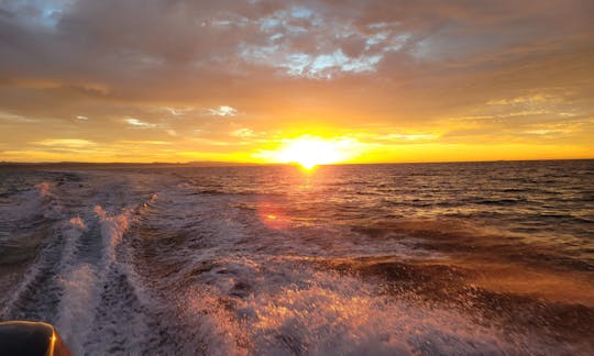 21' Center Console for Charter