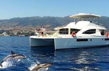All Inclusive Leopard Catamaran 51 PC private charter in Funchal Madeira