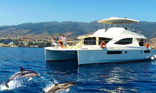 All Inclusive Leopard Catamaran 51 PC private charter in Funchal Madeira