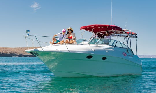 CRUCERO EN YATE A UN PRECIO ACCESIBLE