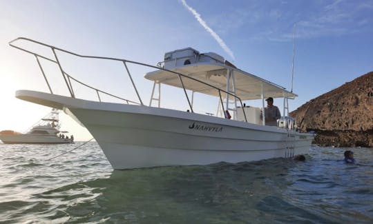 Panga 30- Luxo local na Isla Espiritu Santo e na praia de Balandra