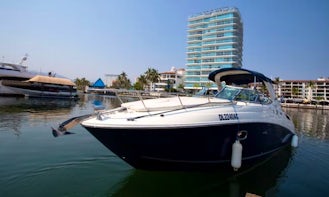 🛥️🏝️ Beautiful Yacht 29' Sea Ray for Charter in Puerto Vallarta☀️