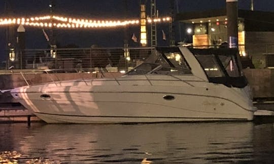 Cruise the Potomac On a Rinker 310