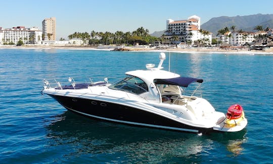 Sundancer 420 Motor Yacht Smooth Large & Powerful Puerto Vallarta, Jalisco