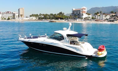 Cruiser Sundancer 420 décontracté et sophistiqué