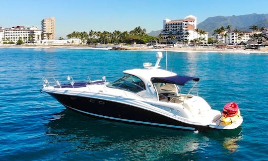 Sundancer 420 Motor Yacht Smooth Large & Powerful Puerto Vallarta, Jalisco