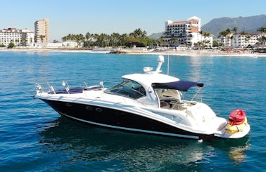 Sundancer 420 Motor Yacht Smooth Large & Powerful Profile in Puerto Vallarta, Jalisco