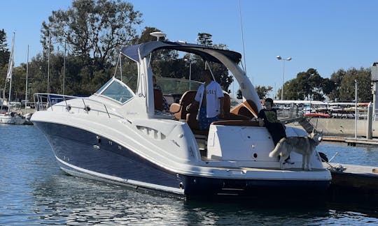 34 pieds de pur luxe et de divertissement. Louer un yacht à moteur SeaRay Sundancer 340 à Marina del Rey, en Californie