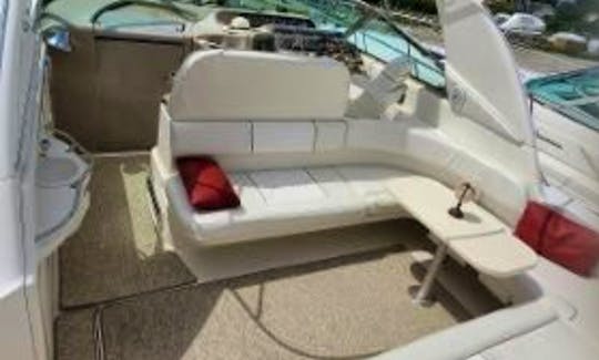 Luxury 40 ft. Sea Ray Sundancer Motor Yacht in Chicago, Illinois