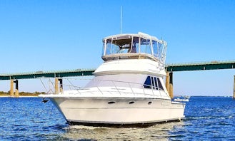 Classic Timeless 36' Tiara Convertible Yacht for Charter in Long Island