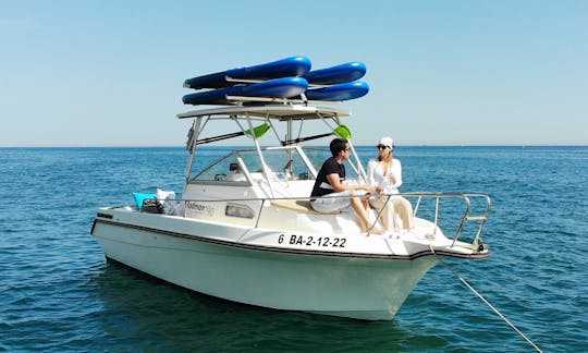 Stand Up Board boat adventure! Skipper, fuel and soft drinks includded