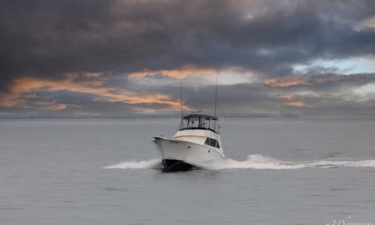 Inshore/Offshore Fishing Trip in Norfolk/VA Beach With Captain Lou