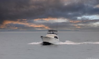 Viagem de pesca costeira/offshore na praia de Norfolk/VA com o capitão Lou