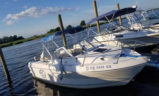 20ft Campion Marine Cruiser for rent in Keyport