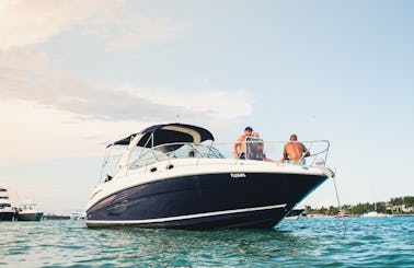 Party with style on a 34’ Sea Ray !  Ask about our Weekday specials one free hr!