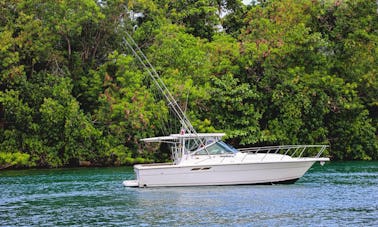 Sovran Tiara 31 Motor Yacht Charter in La Romana, Dominican Republic