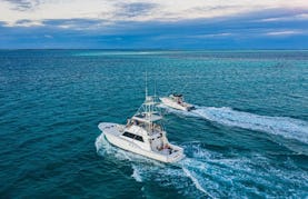 Hatteras 54' Sportfishing Yacht for Daily Charter and Crew in La Romana
