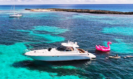 Enjoy the pristine waters of Bimini or cruise Fort Lauderdale