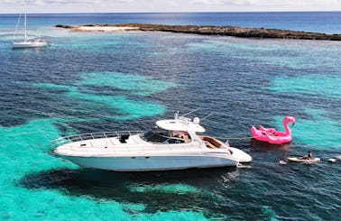 Nauti Gullz LUXURIOUS Sea Ray Sundancer 60 foot Yacht ***VIP***