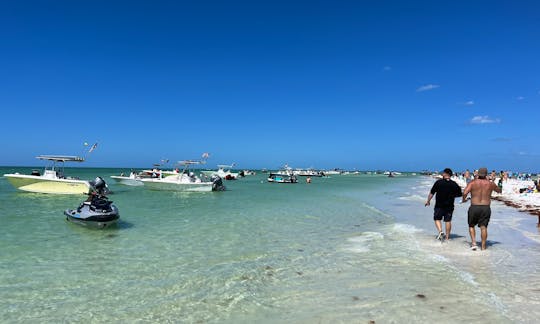 Explore the many Beautiful Islands from Anclote key to Clearwater beach