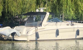 Sea Ray 380 Motor Yacht for Charter in Toronto