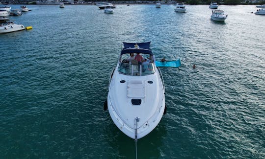 ''Seacrecy'' Sea Ray Sundancer Motor Yacht Rental in Miami, Florida