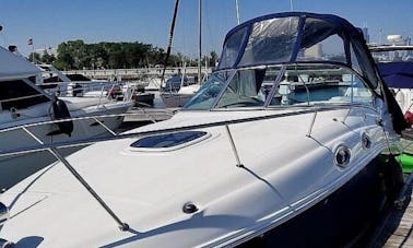 Chicago Boat Cruise on Captained Sea Ray Sundancer 260 Motor Yacht