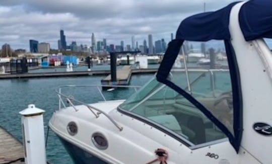 Chicago Boat Cruise on Captained Sea Ray Sundancer 260 Motor Yacht