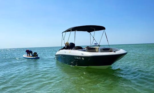 19ft Bayliner Element Deck Boat for rent in Anna Maria Island