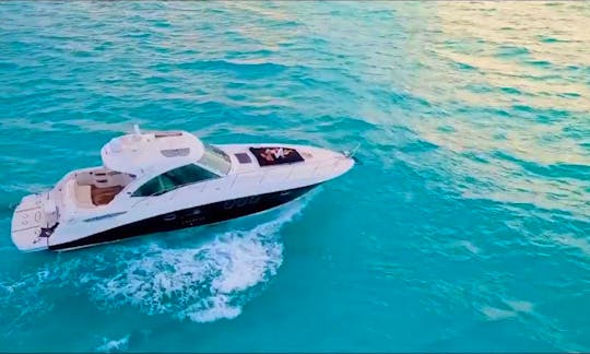 50 FT SEARAY PRIVATE YACHT FOR UP TO 15 PASSENGERS