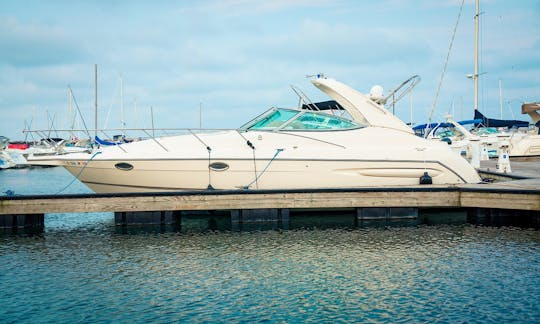 33ft Maxum Scr - Your Next Charter Awaits You!