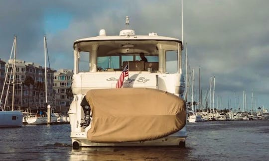 48' Luxury Harbor Experience - Same Day Bookings!