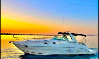 Boat Charter in Red Sea Governorate