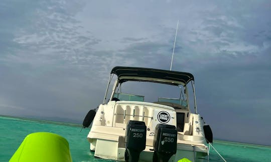 Boat Charter in Red Sea Governorate