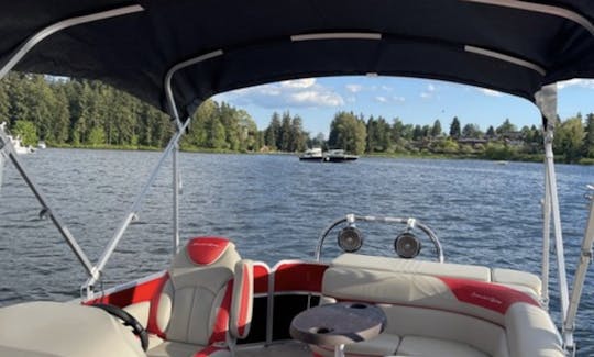 20ft South Bay Pontoon Rental in Renton, Washington/ pt Defiance (puget sound)