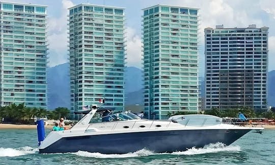 Charter the Beautiful Sea Ray 55 Motor Yacht In Puerto Vallarta