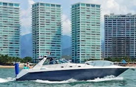 Charter the Beautiful Sea Ray 55  Motor Yacht In Puerto Vallarta