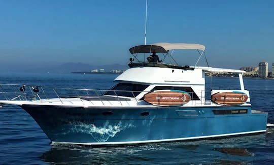 Enjoy Puerto Vallarta In The Best Yacht 50ft