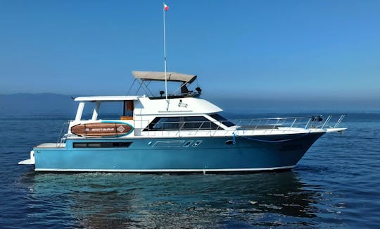 Enjoy Puerto Vallarta In The Best Yacht 50ft
