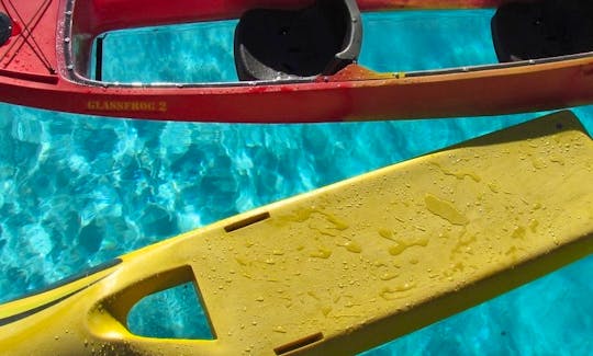 Clear bottom tandem kayaks ((red) and ocean board with clear viewing window (yellow).