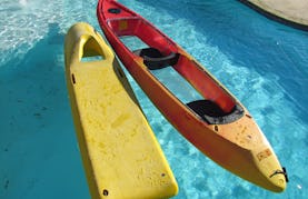 Caribe 12ft Clear Bottom Tandem Kayaks For Rent For Up To 12 Paddlers