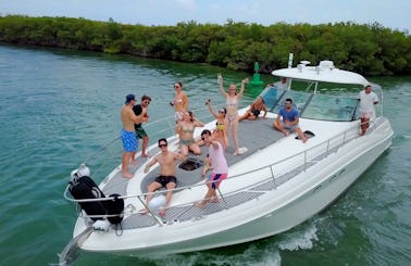 A Private Luxury Sea Ray 53ft up to 14 people in Ideal condition Cancun and Isla Mujeres