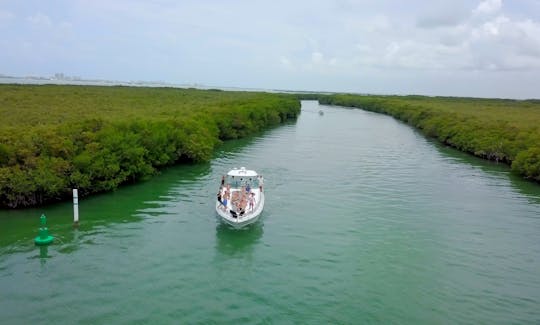 Un Sea Ray privado de lujo de 53 pies con capacidad para 14 personas en condiciones ideales: Cancún e Isla Mujeres