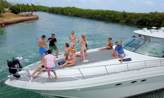 A Private Luxury Sea Ray 53ft up to 14 people in Ideal condition Cancun and Isla Mujeres