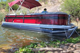 Beautiful 2022 Crest 240LX Tritoon for rent at Saguaro lake with seating for 12!
