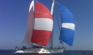 Naviguez avec nous à bord de notre voilier Artemis de 64 pieds. Gloucester, Massachusetts. Repas inclus !