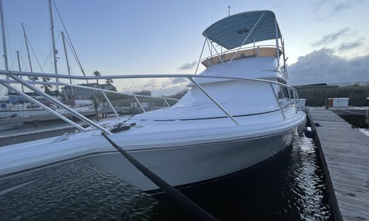 36ft Phoenix Sportfishing Yacht! Cruising from North Padre Island to Port Aransas