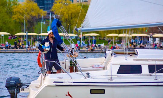 Sailing Charter in Toronto